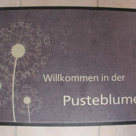 Ferienwohnung Pusteblume Кохем Номер фото