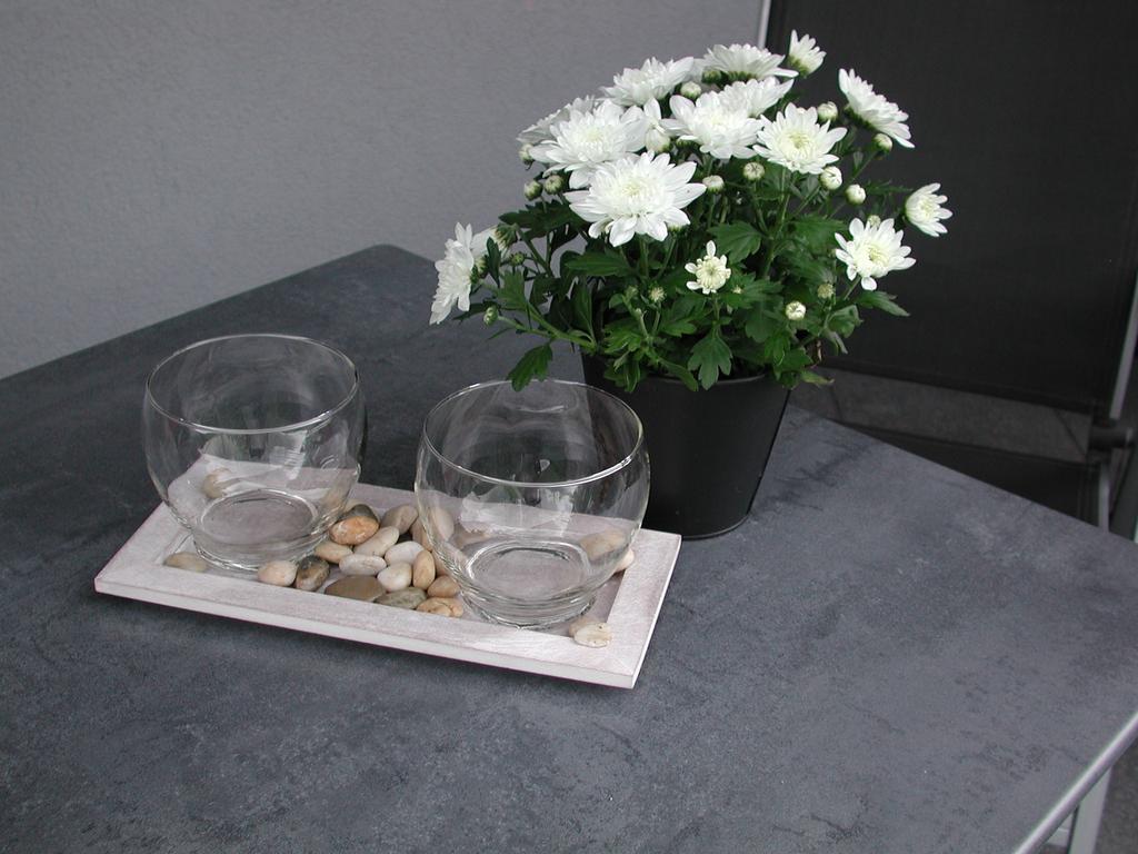 Ferienwohnung Pusteblume Кохем Номер фото
